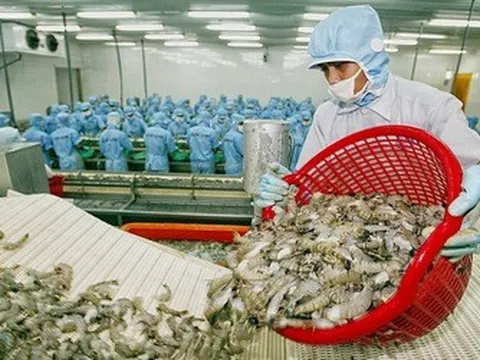 Xuất khẩu thủy sản 2 tháng đầu năm 2026 đạt 1,7 tỷ USD, tăng 20%